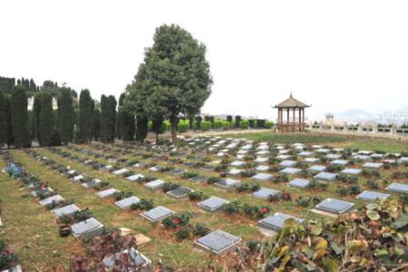 聊城全面推行惠民殡葬政策：免除4项基本殡葬费