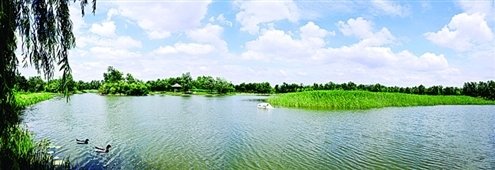 《济宁市水土保持规划（2018-2030年）》审议通过