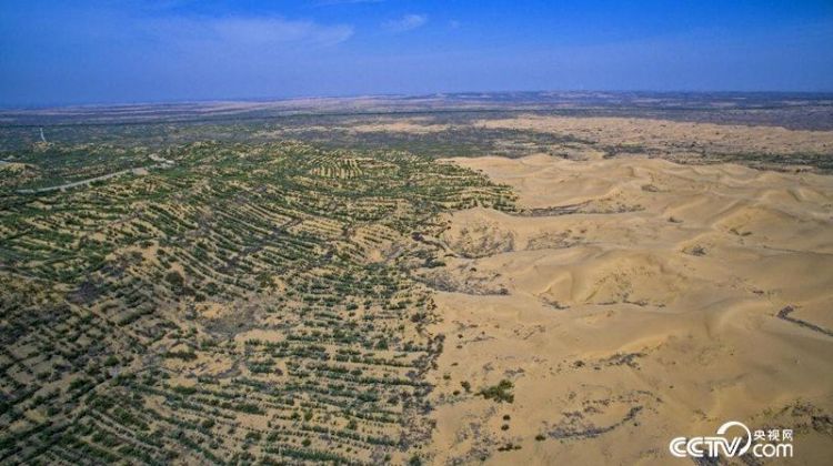 治沙无问西东 宁夏成全国首个实现沙漠化逆转的省区