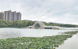 红莲湖水位上涨30厘米 部分桥面被水淹没