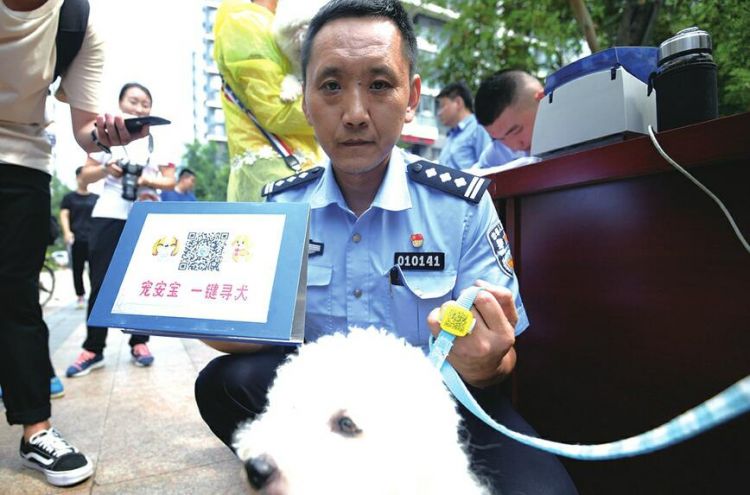 济南公安养犬管理再推新举措 养犬办证仅需2分钟
