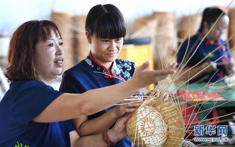 山西广灵:产业扶贫提升造血功能