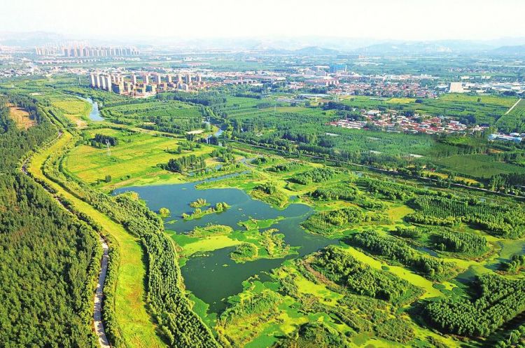 济南市持续提升城市生态绿化品质 推开家门进公园 满满都是幸福感