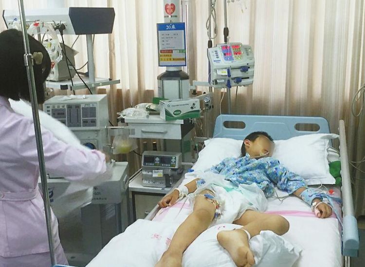 食用野蘑菇后中毒 8岁娃确诊多脏器受损住进ICU陷入昏迷