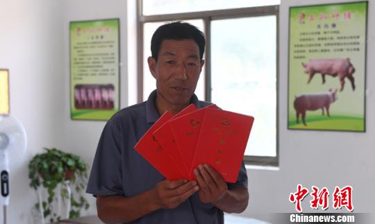 收入证明_甘肃省农民收入变化(3)