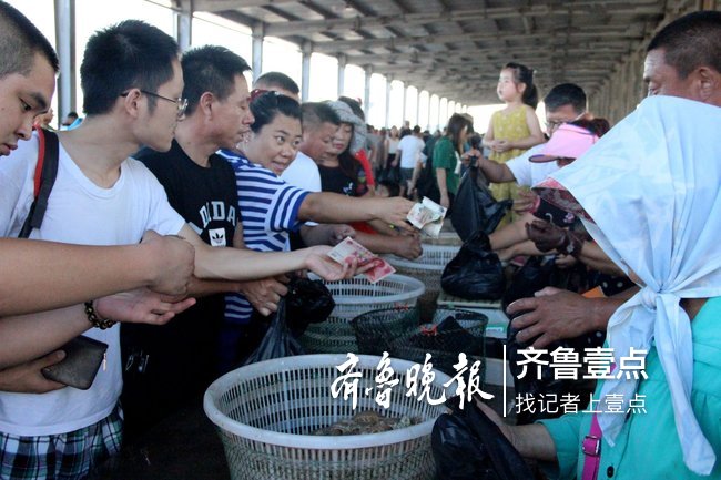 烟台东口码头：2小时卖光千斤鲅鱼，爬虾上岸遭疯抢