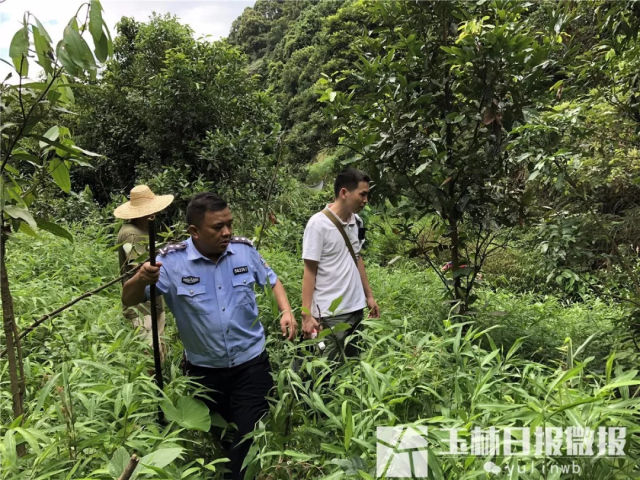 1岁女童深山走失88小时 ,无食无水居然奇迹生还!