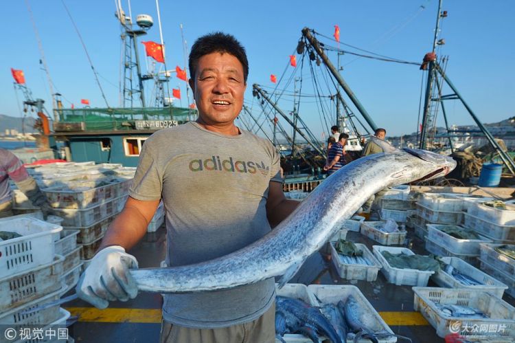 青岛：渔民开海迎丰收 日上岸数万斤