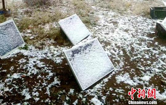 “中国最冷小镇”呼中初雪 今秋气温首破零下