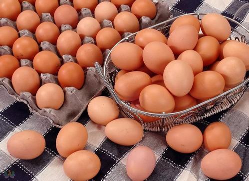 临淄公布一批食品抽检信息 东申幼儿园购进鸡蛋抽检不合格