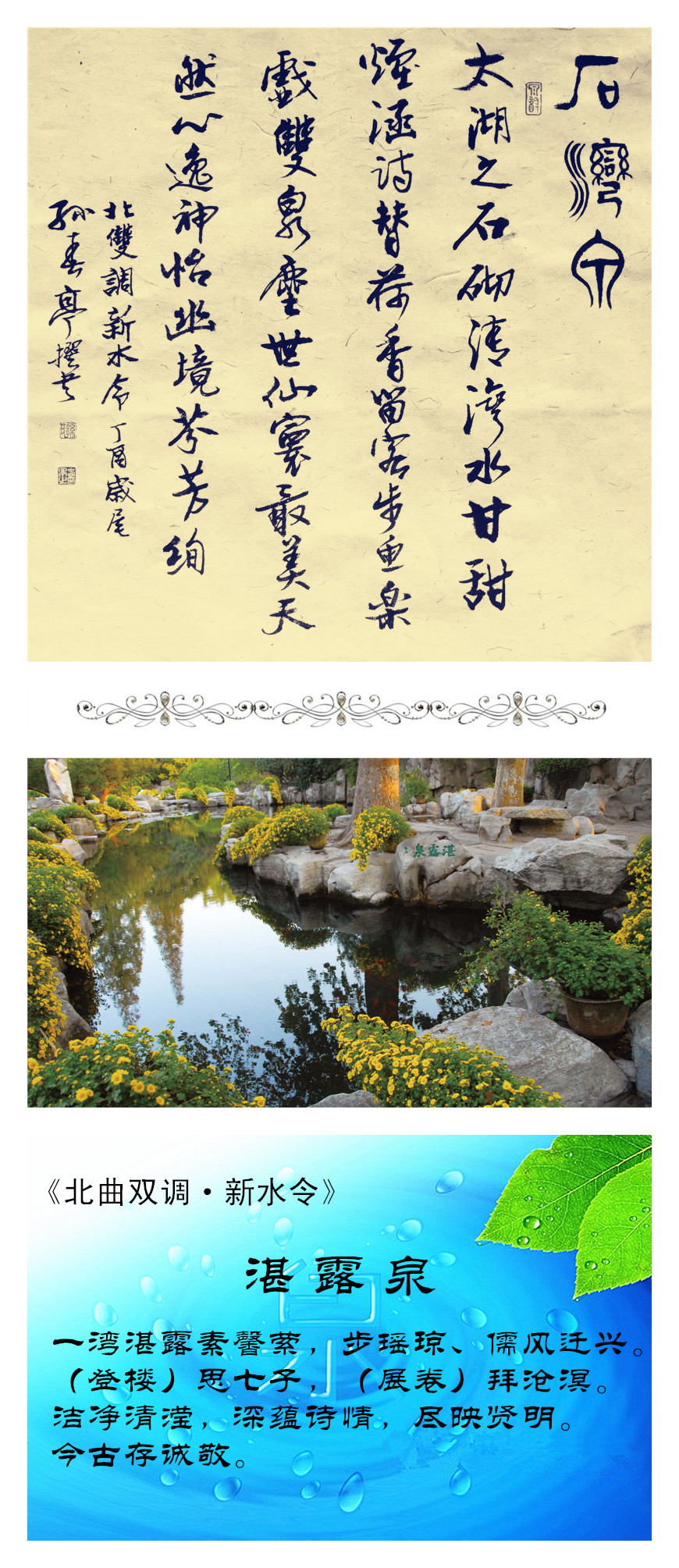 10湛露泉 李