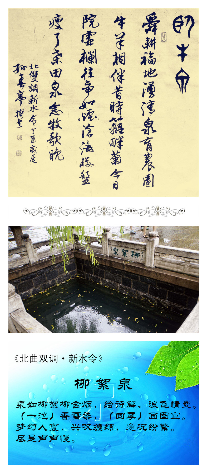 5柳絮泉李