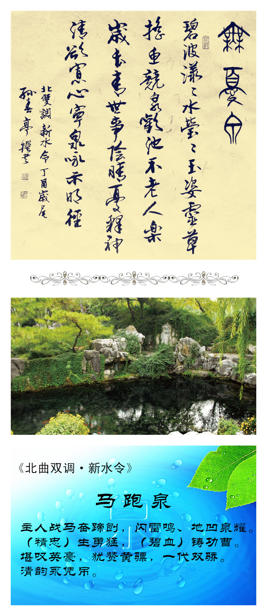 8马跑泉李