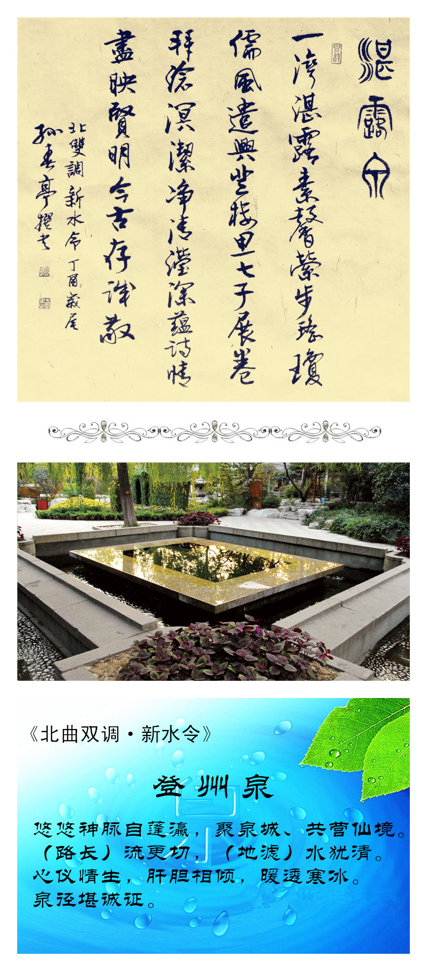 11登州泉 李