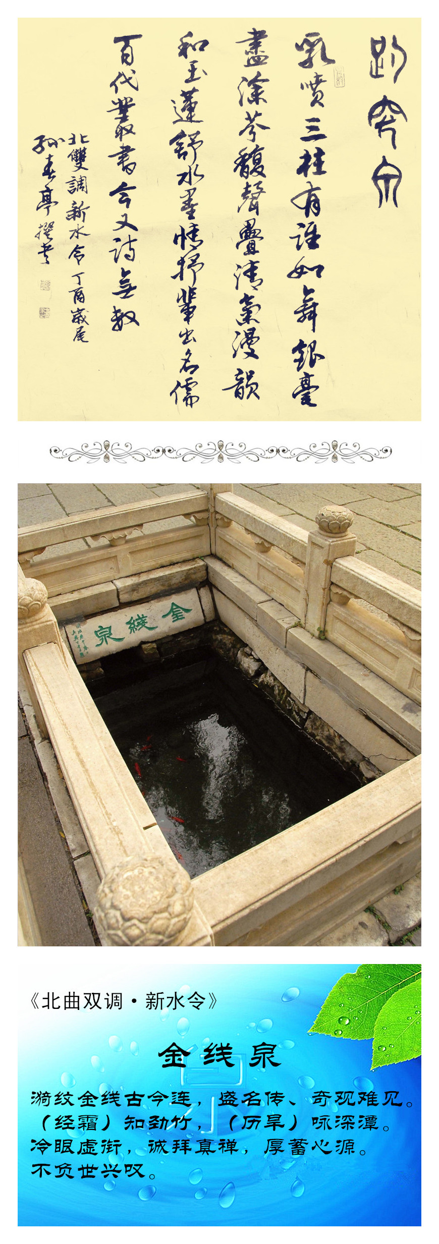 2金线泉李