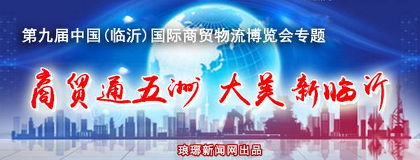 临沂市第九届商博会|电子商务发展高峰论坛举办