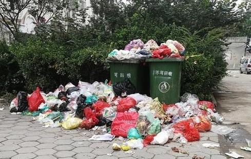聊城：小区垃圾无人清理 物业称业主拖欠物业费