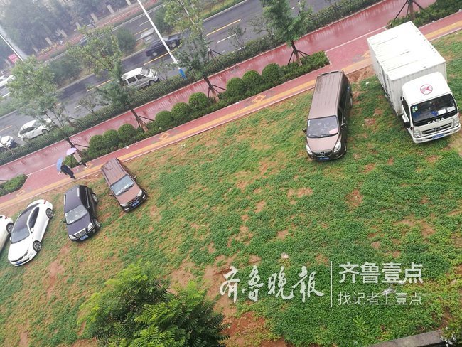 情报站|济南一小区附近私家车停进绿化带，草坪损坏
