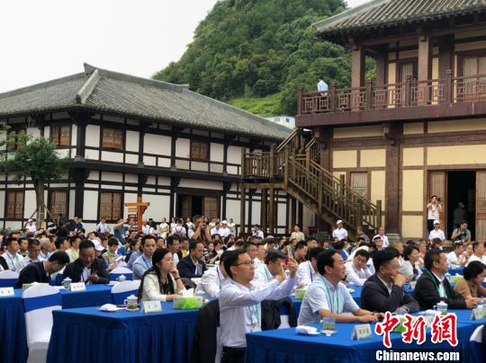 2018都匀毛尖(国际)茶人会开幕_大陆_国内新闻