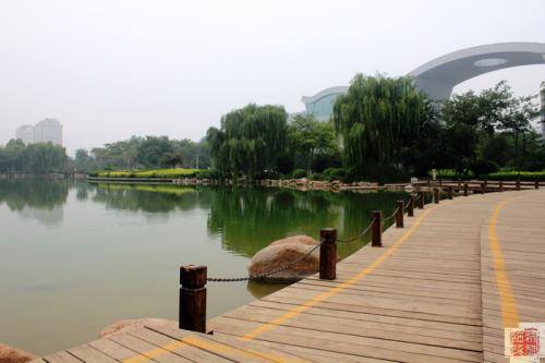 淄博高新区火炬公园设施更新 槐树林下棋不用自带板凳