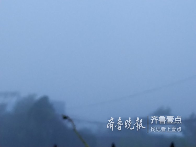 秋雨绵绵停歇，济南南山清晨隐于浓雾中
