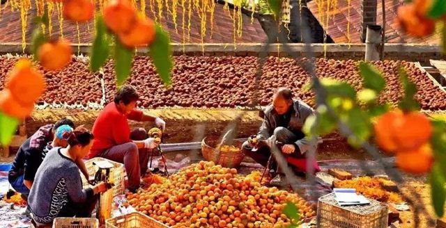 中国农民丰收节“好戏连台”