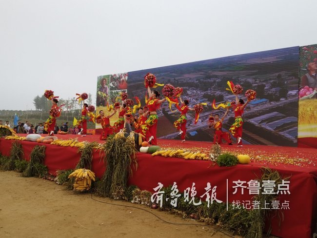 田间比“才艺”，泰安首届中国农民丰收节启动！