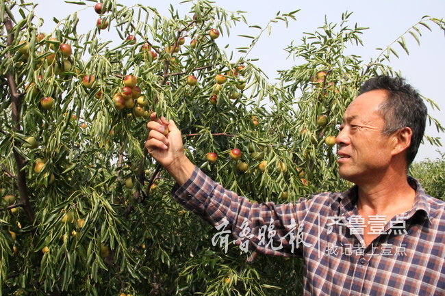 滨州市沾化区富国街道镇黑龙村的村民霍艳华