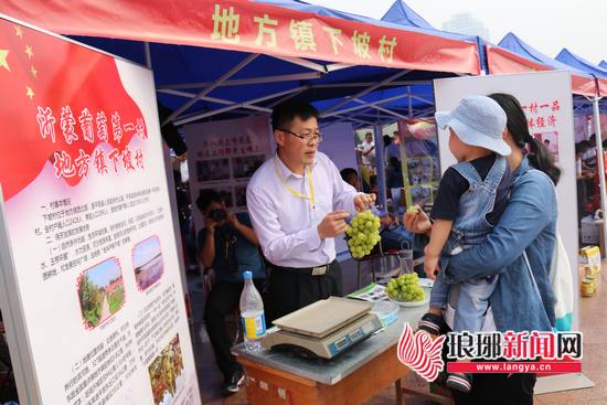临沂百名“第一书记”为任职村的300多种特色农产品代言