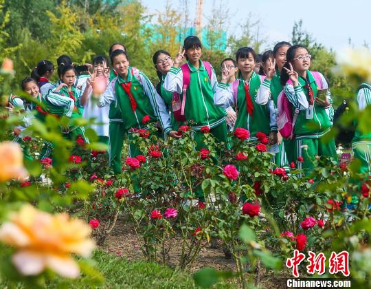 北京世界月季主题园被正式授牌“世界月季名园”