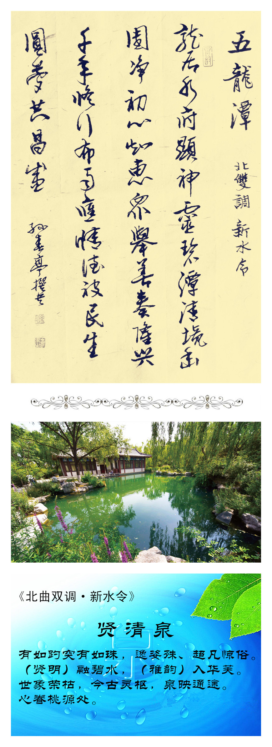 31贤清泉_李