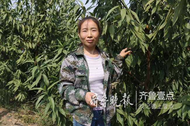 成武女大学生回乡包地种果树，打造生态家庭农场