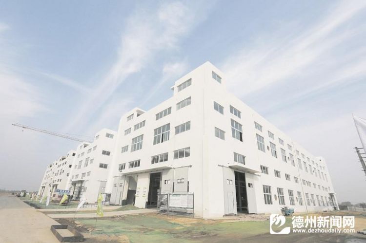 2019年山东县域经济_全国县域经济百强山东占23席(3)