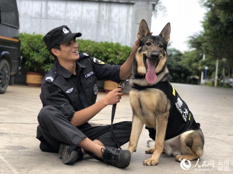 云南建水:警察与警犬的别样“战友情”