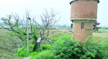 济南数百年古槐树被渣土山包围，经反映终被保护起来