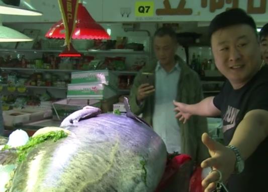 罕见！青岛现280多斤“鲅鱼王” 体长超两米半(图)