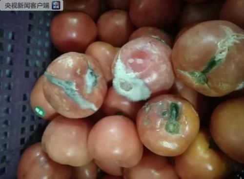 上海一国际学校后厨现腐烂变质番茄洋葱 官方回应