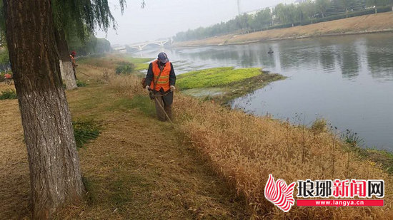 临沂市园林局清理沿岸护坡杂草 加强秋季园林养护