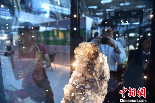 广西柳州举办奇石节 山水动物跃然“石”上