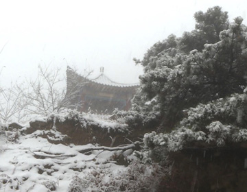 68秒｜漂亮！青州仰天山临朐沂山迎来入冬首场降雪