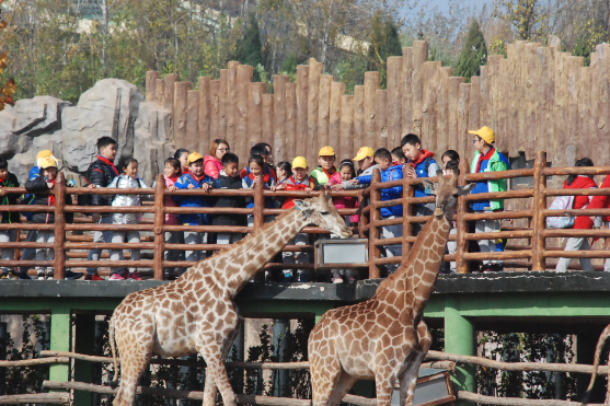 科学旅行号动物 1541850177162.png