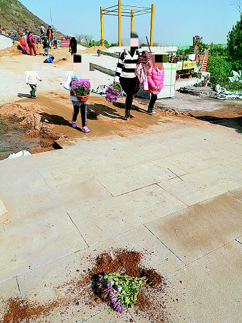 济南华山公园有菊花被游客搬走，公园目前已采取措施