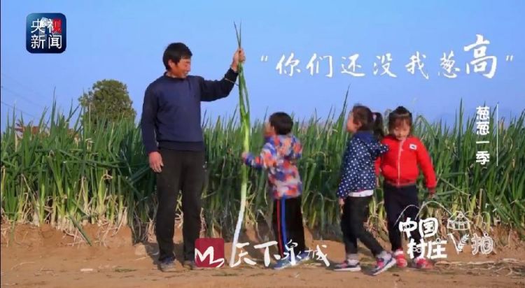 央视纪录片《中国村庄》记录章丘葱乡故事