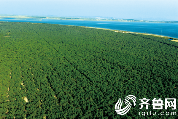 威海南海新区gdp_威海石岛划归南海新区(2)