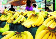 产量减价格增 淄博市场香蕉价格达近4年来最高