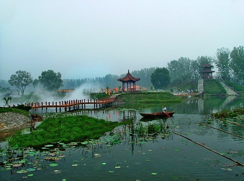 济宁5处湿地上榜山东省最美湿地