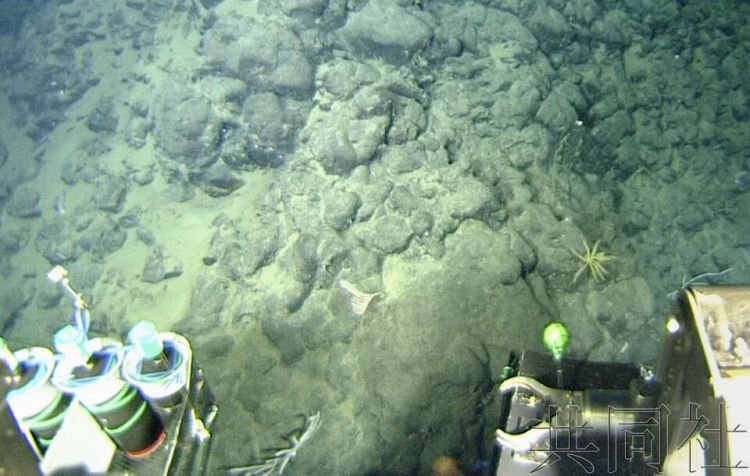 日本福岛县近海海底发现含锰岩层 或附着其他稀有金属