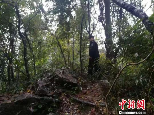 杭州一女子失联数日 遗体在西湖景区悬崖落坡被发现