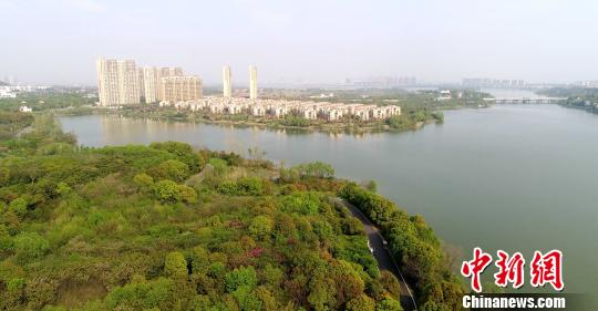 各项规划陆续出台 中法武汉生态示范城建设提速