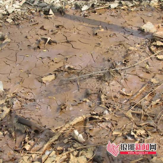 米乐M6 M6米乐临沂：三人镀锌加工陈旧铁链 污染环境赔钱又担刑责(图1)